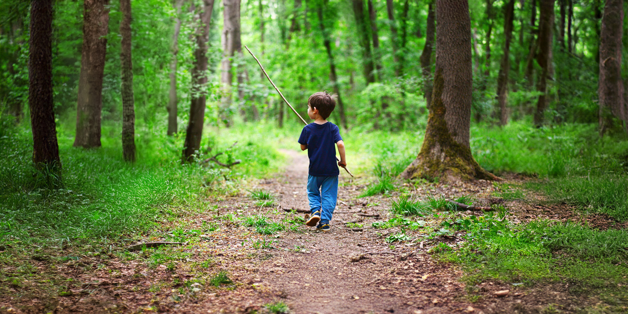 Description of image 1