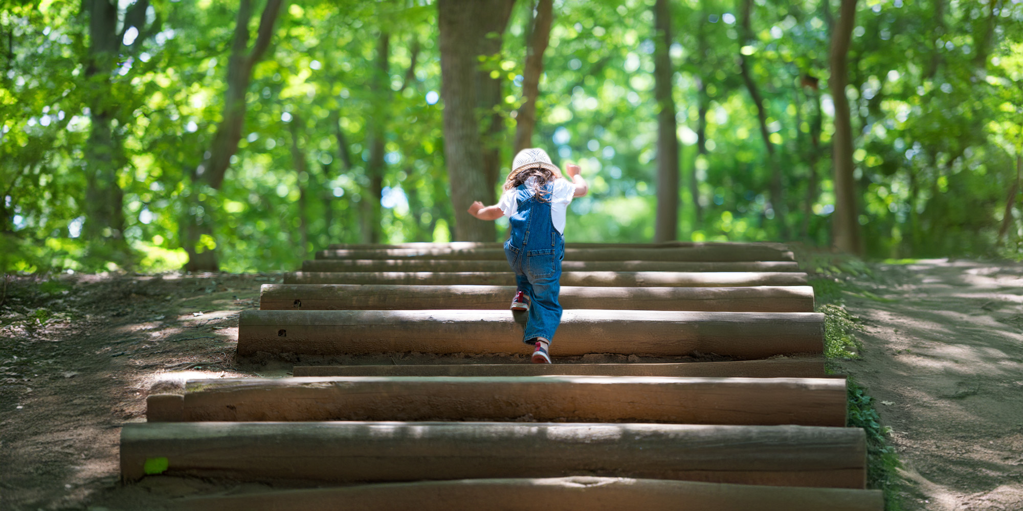 Description of image 2