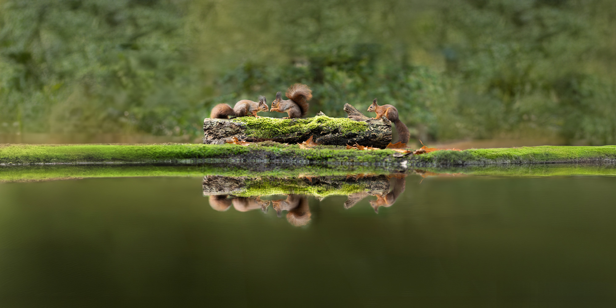 Description of image 3